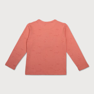 Gini & Jony Girls Orange Applique Knits Knits Top