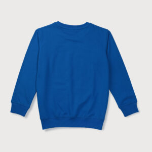 Gini & Jony Boys Blue Printed  Knits Sweat Shirt