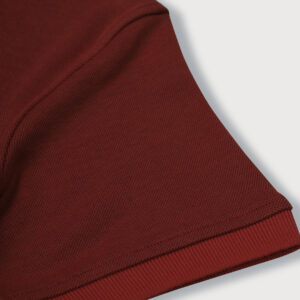 Gini & Jony Boys Maroon Solid Knits T-Shirt